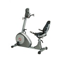 Recumbent Bike BS120