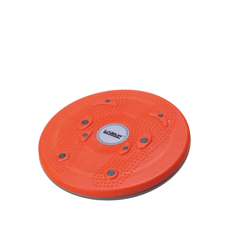 Live Up Magnetic Disc LS3165B