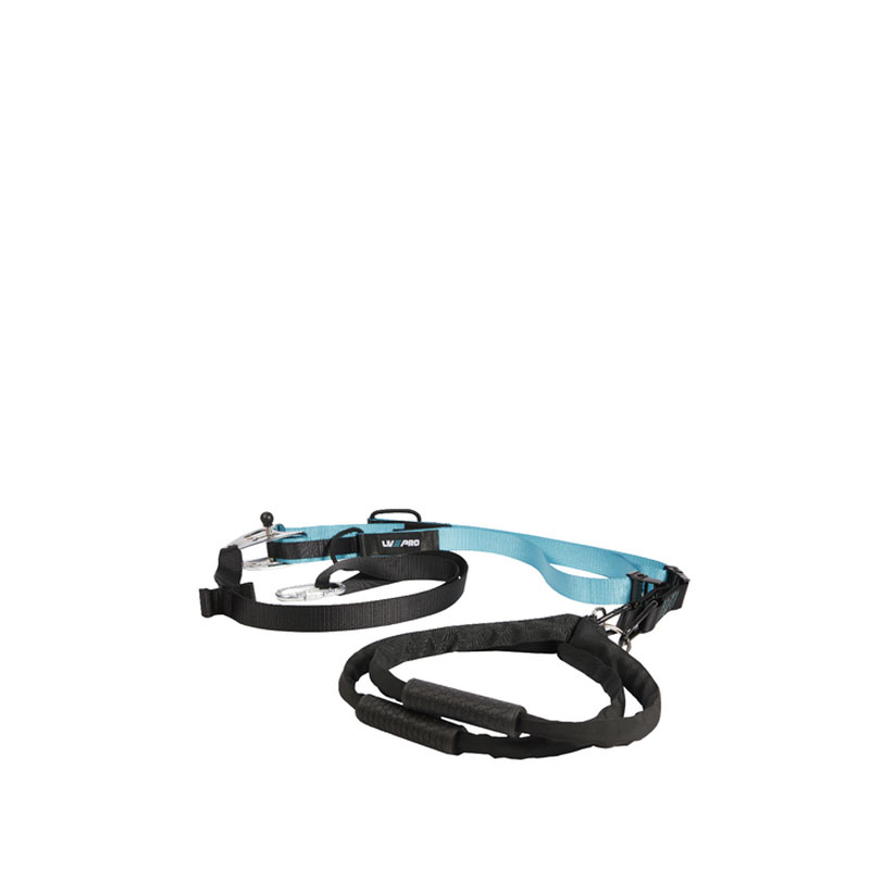 Live Pro The Suspension Trainer