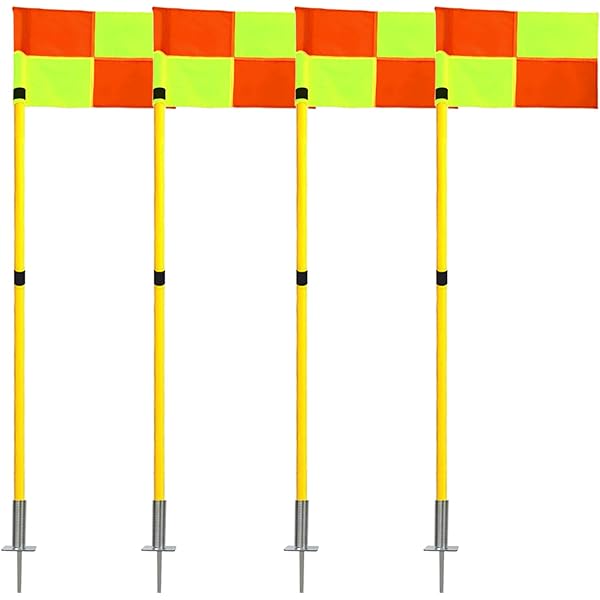 flag training pole set