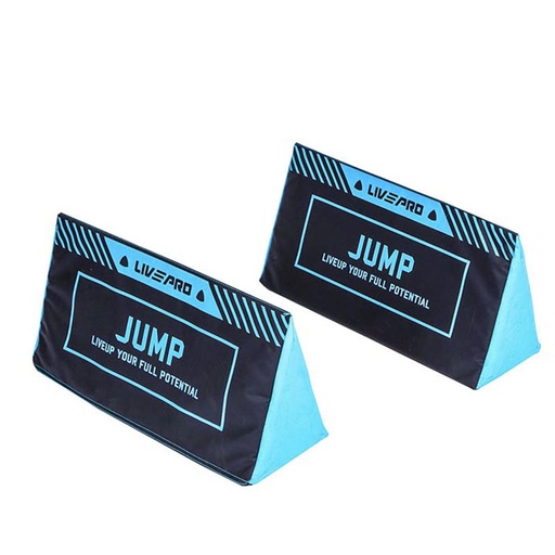 [LP8611] Jump Lateral Endurance Hurdle