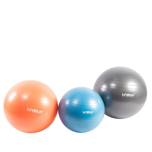 Live Up Anti - Burst Gym Ball LS3222