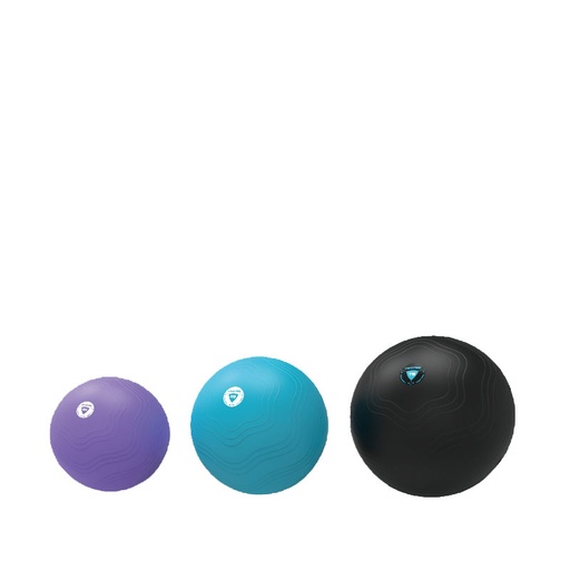 Live Pro Core Fit Exercise Ball